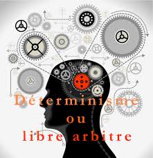 Le libre arbitre : a-t-on vraiment le choix en Martinique ?